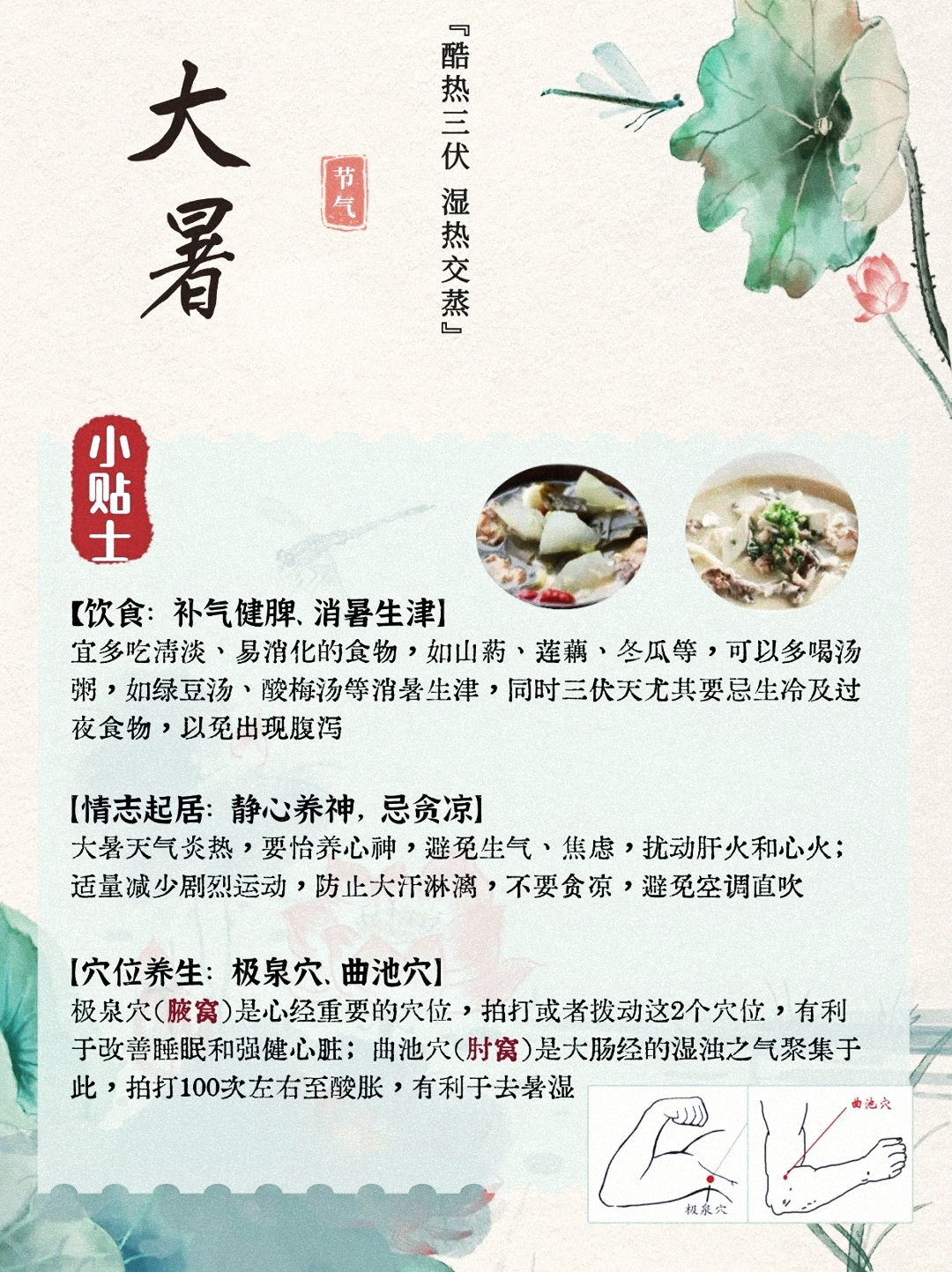 🌞 大暑至，三伏盛｜一年阳气最旺时！。💦 湿热交蒸季，暑湿最易趁虚而入~。顺时养生正当时：碧润康清润配方+石斛胚芽助益脾胃！。热练三伏，今夏养好秋冬少病痛！